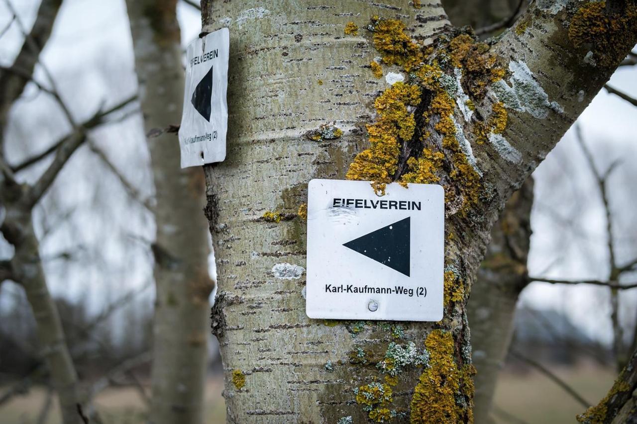 Eifel21 - Stilvolles Haus In Der Vulkaneifel Bleckhausen Exteriér fotografie